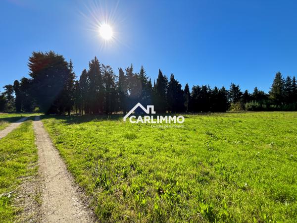 Saint-Rémy-de-Provence (13210) Exclusivité : bastide en Provence