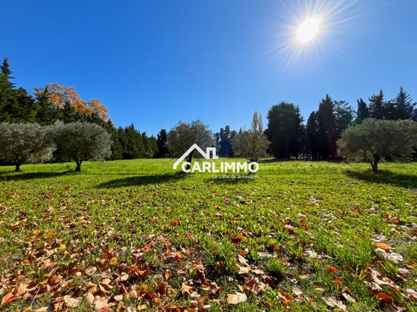 Saint-Rémy-de-Provence (13210) Exclusivité : bastide en Provence