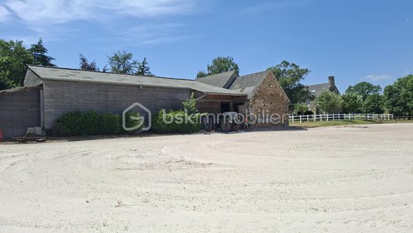 Propriété équestre de caractère – Maison en pierre de 208 m² avec installations complètes sur un terrain clos de 10 414 m²
Amoureux des chevaux et de la nature, découvrez cette magnifique propriété alliant charme, espace et fonctionnalité.

Cette authentique maison en pierre d'environ 190 m² offre de beaux volumes, une belle luminosité et un agencement idéal pour une vie de famille.
Au rez-de-chaussée, vous découvrirez une superbe pièce de vie de 65 m², baignée de lumière, comprenant une cuisine aménagée et équipée ouverte sur la salle à manger et le salon. Cet espace chaleureux est agrémenté d'un poêle à bois, suite parentale de 20 m², buanderie de 20 m² ainsi qu'un WC indépendant complètent ce niveau.
Au premier étage, un vaste dégagement dessert trois belles chambres, dont une avec sa salle d'eau privative, une spacieuse salle de bains de 10 m² équipée d'une baignoire et d'une douche, un WC indépendant, grenier aménageable.
Au deuxième étage, sous les combles, deux belles chambres viennent compléter l'ensemble.

À l'extérieur, les passionnés d'équitation seront séduits par des installations équestres de qualité comprenant :
- un manège couvert d'environ 420 m² 
- 6 boxes/sellerie avec mezzanine 
- une carrière d'environ 2 500 m² 
- deux dépendances offrant de nombreuses possibilités de stockage ou d'aménagement.

L'ensemble est implanté sur un magnifique terrain clos et paysagé de 10 414 m², soigneusement entretenu. 

Les atouts
Maison en pierre de caractère d'environ 208 m2
6 chambres
Pièce de vie de 65 m² avec cuisine ouverte et poêle à bois.
Suite parentale au rez-de-chaussée
Maison économe en énergie avec un classement en C au DPE
Installations équestres  
Etat irréprochable 
Cadre de vie privilégié 
A proximité : chemins de bocage qui mènent vers la Butte de Grosmont et la vallée de la Vire (réseau de chemins creux, de pistes agricoles et de passages boisés). 

Situation géographique : 
- 4 minutes d'un bourg toutes commodités (écoles/commerces/pôle santé/pharmacie) - LA GRAVERIE 14350, 
- 6 km de VIRE 14500 (gare SNCF - PARIS/GRANVILLE), 10 de l'autoroute (A84 - CAEN/RENNES), 30 de ST LO 50000,
- 45 minutes de CAEN, 55 de GRANVILLE, 
- PARIS à 280 km

Une propriété rare, idéale pour une famille, des cavaliers ou le développement d'une activité équestre, alliant le charme de l'ancien à des équipements de qualité dans un cadre de vie privilégié.
Un bien d'exception à découvrir sans tarder !