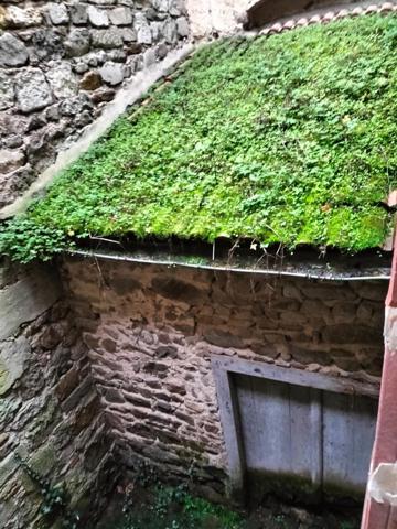 Grande maison de ville à rénover avec 2 cours