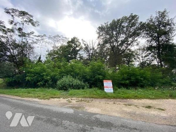 45700 CONFLANS / LOING - TERRAIN DE 1 306M² - 38ML FACADE