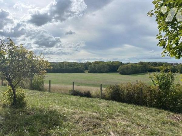 SAINT GEORGES LES BAILLARGEAUX - VERGER/JARDIN - GARAGE