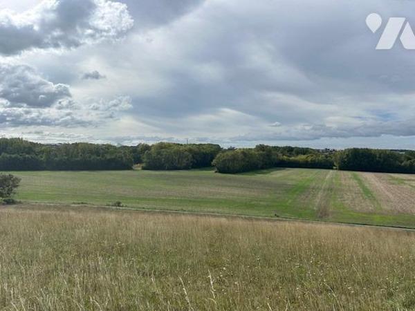 SAINT GEORGES LES BAILLARGEAUX - VERGER/JARDIN - GARAGE