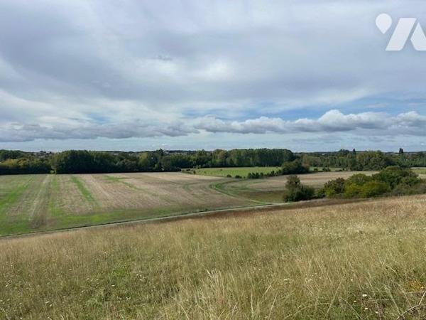SAINT GEORGES LES BAILLARGEAUX - VERGER/JARDIN - GARAGE