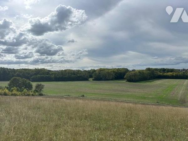 SAINT GEORGES LES BAILLARGEAUX - VERGER/JARDIN - GARAGE
