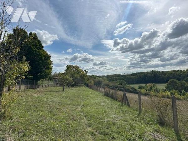 SAINT GEORGES LES BAILLARGEAUX - VERGER/JARDIN - GARAGE