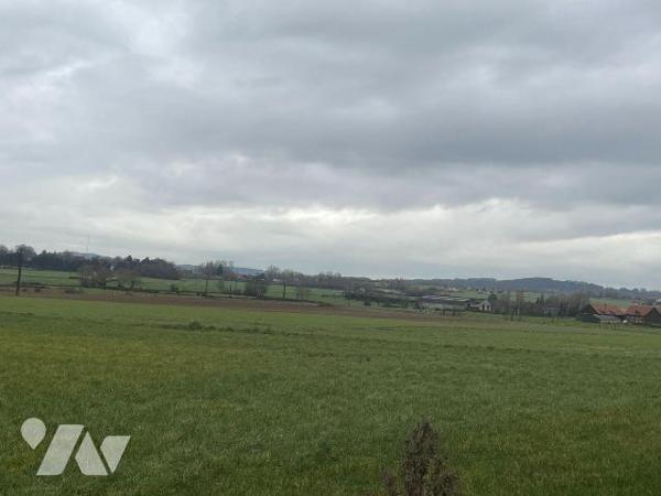 EN EXCLUSIVITE - A VENDRE DANS LE NORD A BAILLEUL (59) - SECTEUR RAVENSBERG - MAISON INDIVIDUEL...