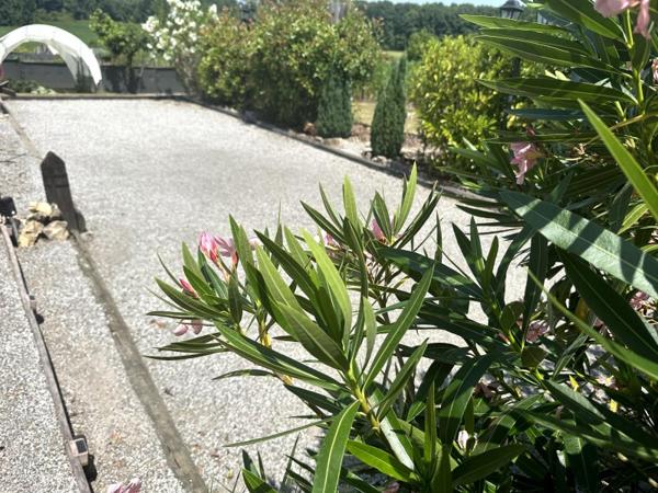 Vente / Maison T4 à Saint-Sever (40500)