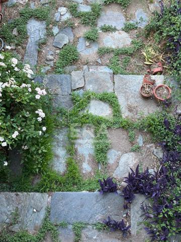 Maison de 7 pièces au coeur du village d'OLetta