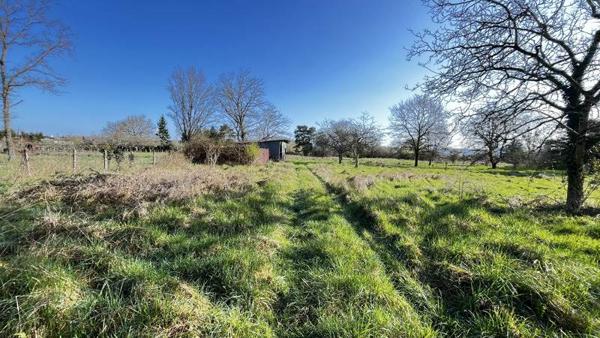 Terrain à vendre |  Noyers-sur-Cher |  3965 m²