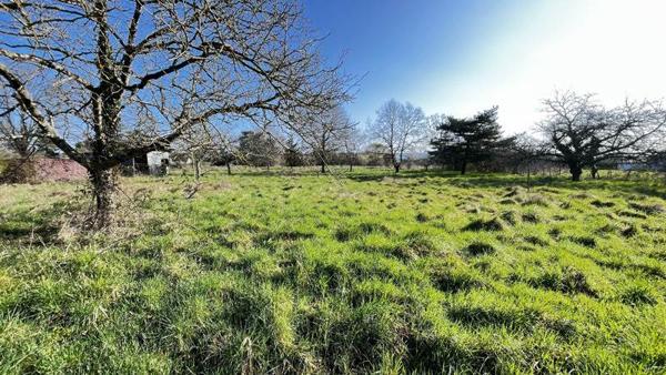 Terrain à vendre |  Noyers-sur-Cher |  3965 m²