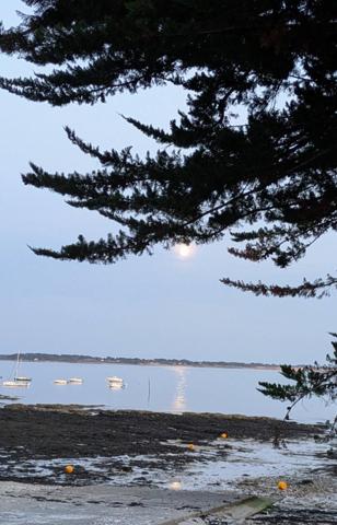 Votre pied à terre en bord de mer