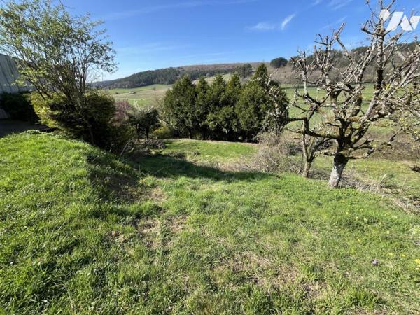 Vente BEAUNE 10 kms domaine viticole maison de Maître appartement bâtiment professionnel