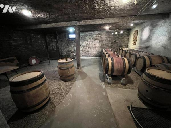 Vente BEAUNE 10 kms domaine viticole maison de Maître appartement bâtiment professionnel