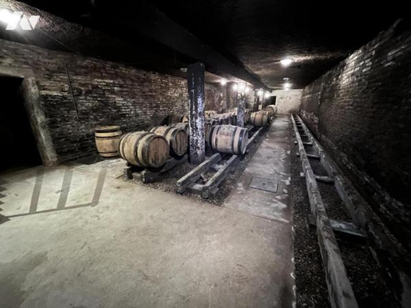 Vente BEAUNE 10 kms domaine viticole maison de Maître appartement bâtiment professionnel