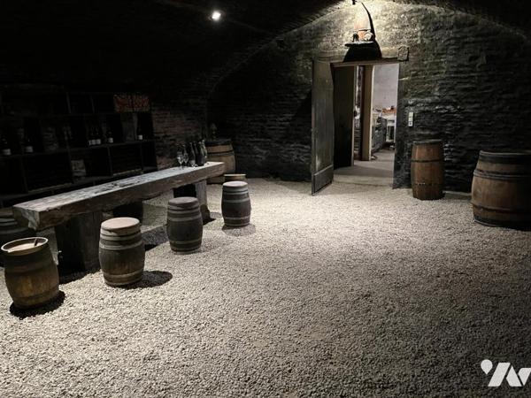 Vente BEAUNE 10 kms domaine viticole maison de Maître appartement bâtiment professionnel