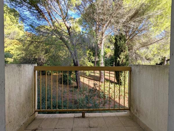 En plein centre de Lodève, profitez d’un cadre paisible au milieu d’un écrin de verdure.