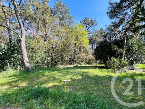 Maison à vendre  6 pièces - 170 m2 ST HILAIRE DE RIEZ - 85