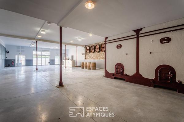 Ancienne cave viticole – Création potentielle d’un loft