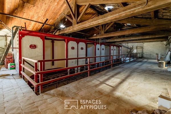 Ancienne cave viticole – Création potentielle d’un loft