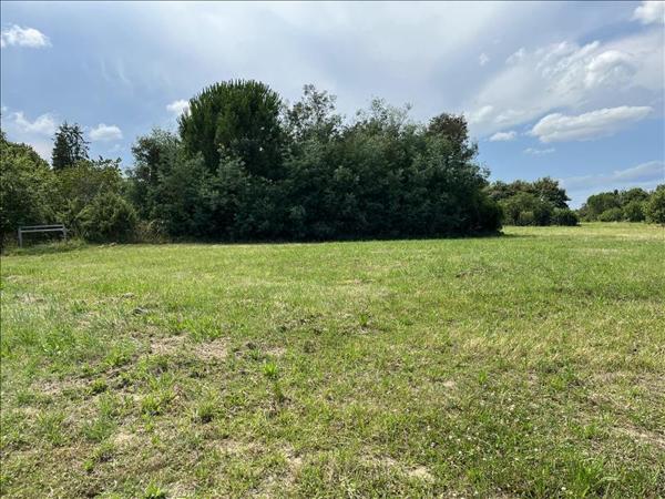 Terrain à vendre |  Mirande |  893 m²