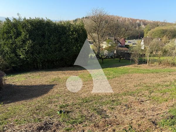 Terrain 2239 m2
