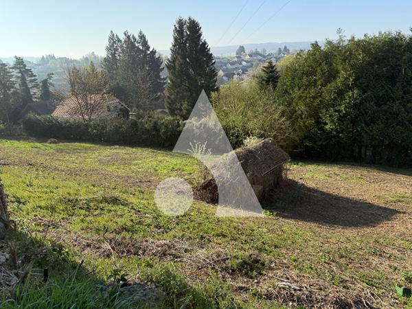 Terrain 2239 m2