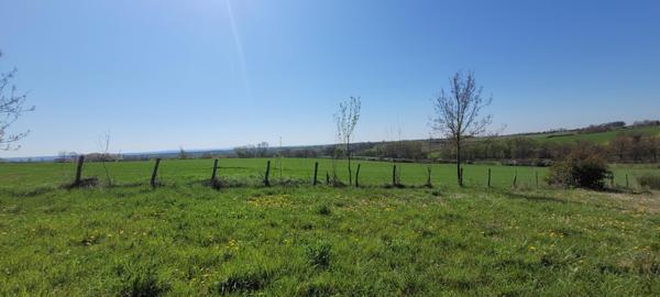 ENVIRONNEMENT EXCEPTIONNEL