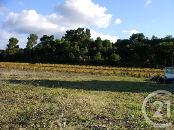 Terrain à vendre  1162 m2 COURNANEL - 11