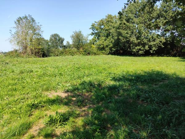 Terrain à bâtir 1 161 m² – Tesson (17460) – cadre champêtre et résidentiel