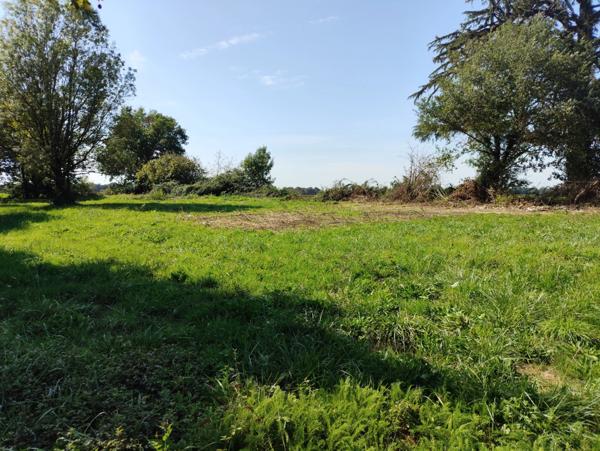 Terrain à bâtir 1 161 m² – Tesson (17460) – cadre champêtre et résidentiel