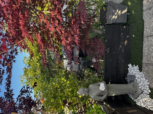 Duplex familial et rooftop avec vue dégagée - Suresnes (92)