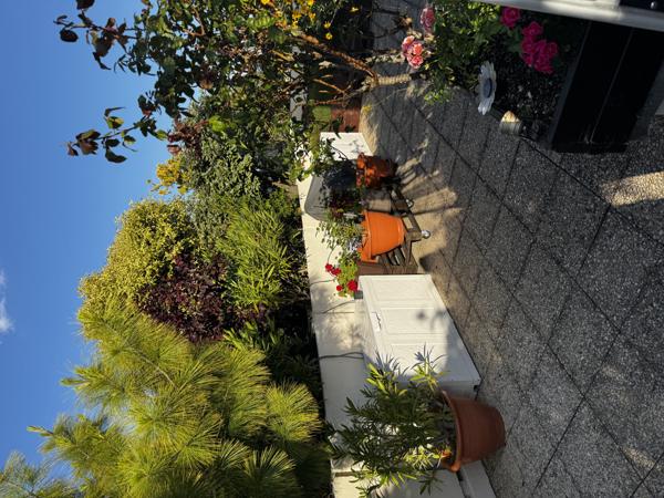 Duplex familial et rooftop avec vue dégagée - Suresnes (92)