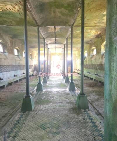 Maison à vendre 1 pièce de 353 m²