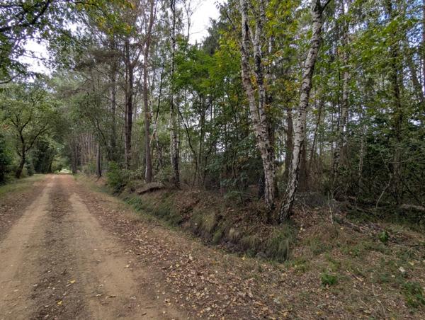 Terrain à vendre de 2 187,00 m² MEZERAY (72)