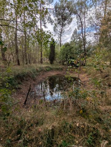 Terrain à vendre de 2 187,00 m² MEZERAY (72)