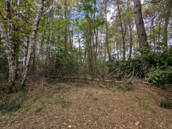 Terrain à vendre de 2 187,00 m² MEZERAY (72)