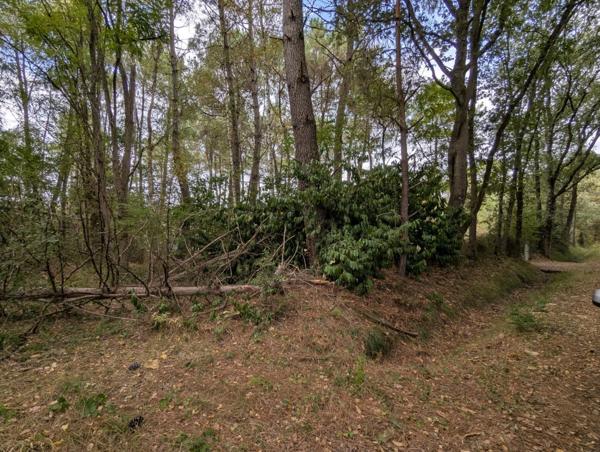 Terrain à vendre de 2 187,00 m² MEZERAY (72)