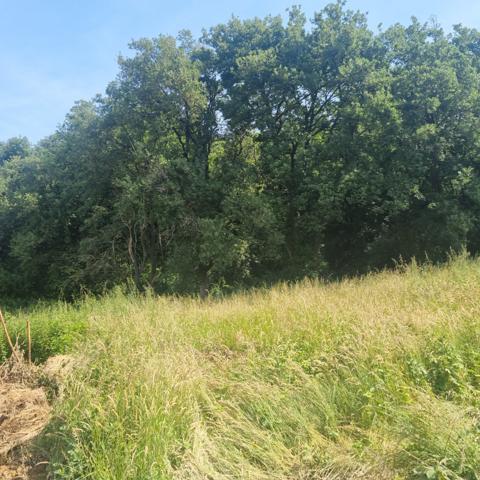 Terrain - 1300 m²