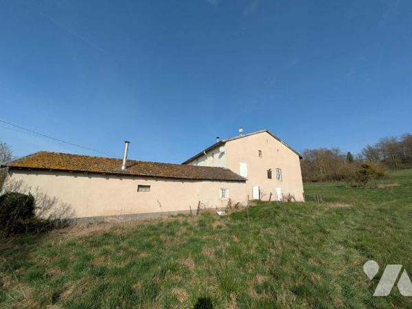 Bien rare à Lunéville - Grand terrain, dépendances et fort potentiel

Située à Lunéville, dan...
