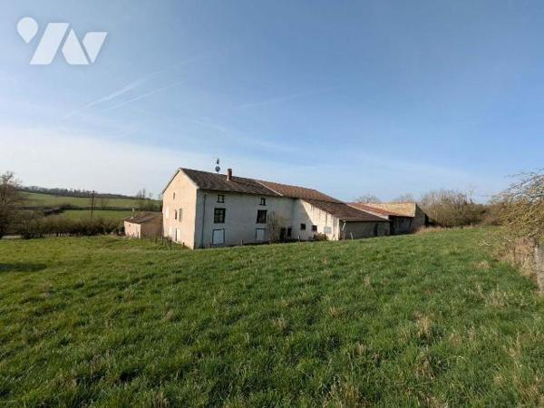 Bien rare à Lunéville - Grand terrain, dépendances et fort potentiel

Située à Lunéville, dan...