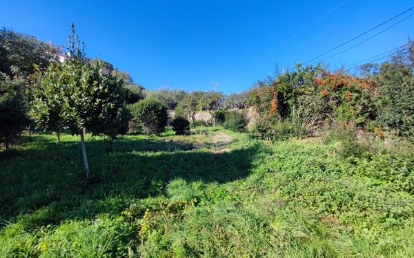 Terrain à vendre    Alès