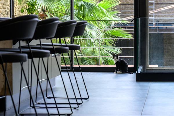 Loft d’exception avec piscine