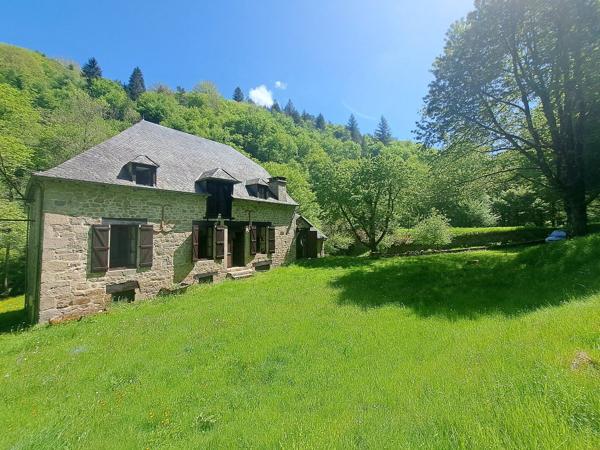 Magnifique ancien moulin rénové - La Roche Canillac La roche canillac