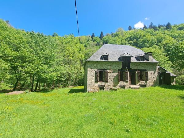 Magnifique ancien moulin rénové - La Roche Canillac La roche canillac