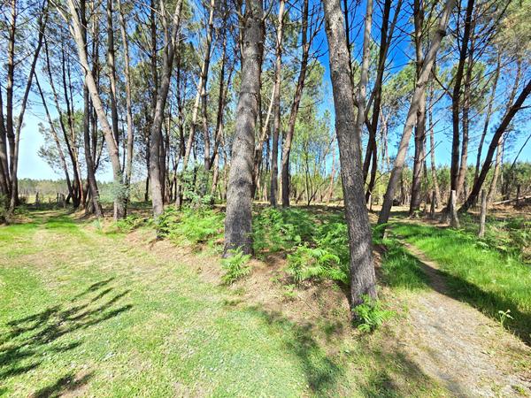 Maison Mios 120 m2 sur plus de 4500 m² de parcelle