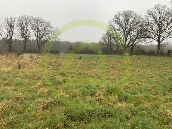 Maison à LIGNEROLLES (36160)