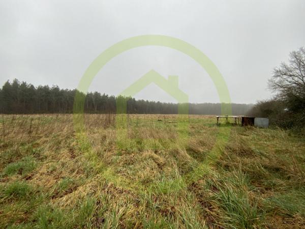 Maison à LIGNEROLLES (36160)