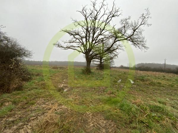 Maison à LIGNEROLLES (36160)