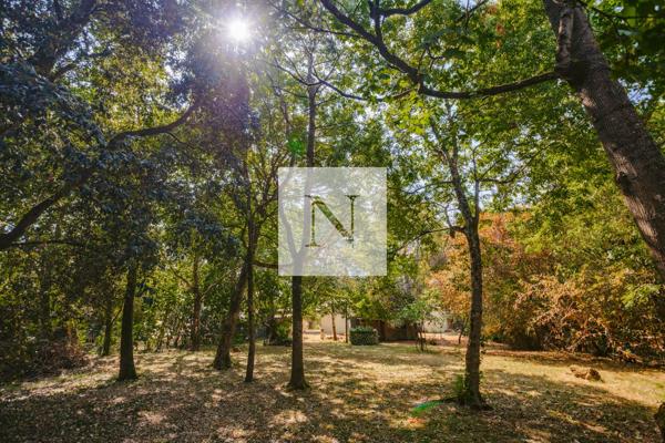 Maison de plain-pied 200 m² avec studio et terrain de 1 984 m² – La Boularde